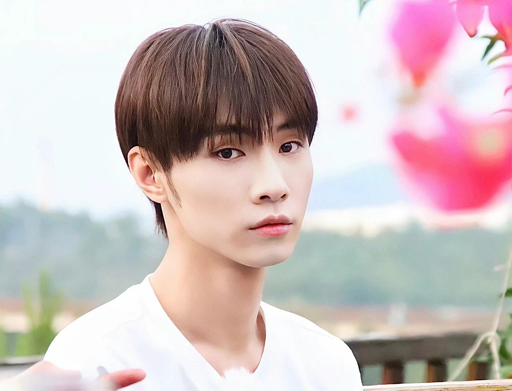 , song ji yang, , , , , 